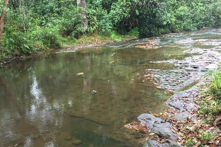 Private Kulen 1000 Shiva Lingas waterfall Private Tour