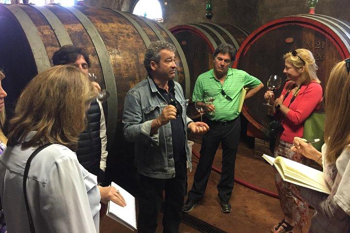 Taste of Tuscany San Gimignano Winery with Transfer from Florence