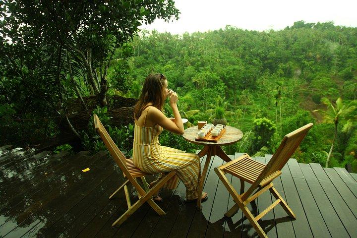 Ubud Rice Terrace Swing, Hidden Waterfall & Monkey Forest Tour