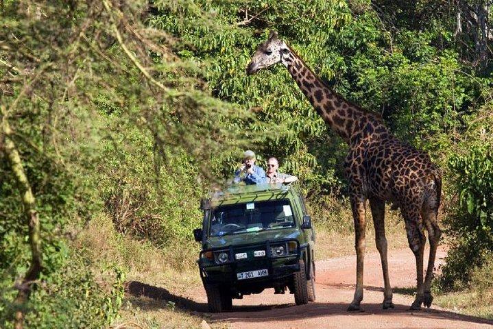3 days Serengeti & Ngorongoro creater