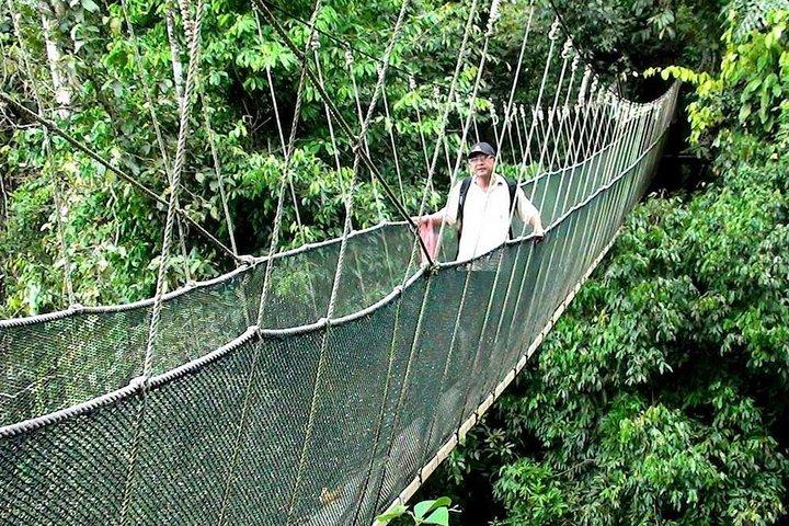 Kinabalu National Park Tour