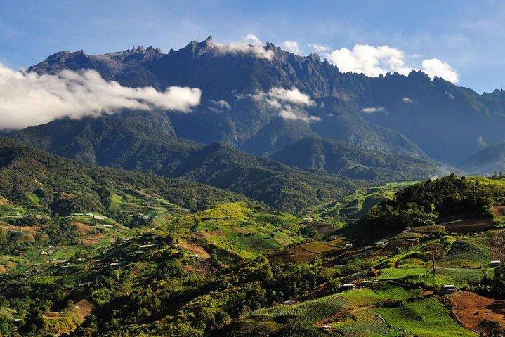 Kinabalu National Park Tour