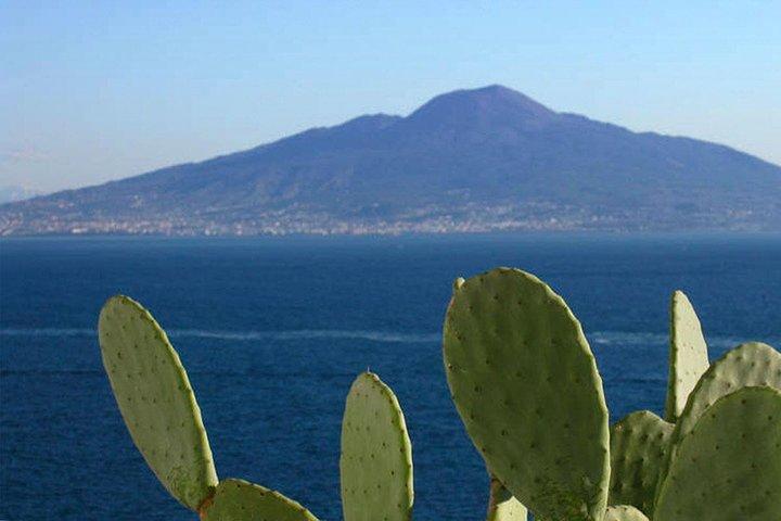 Secrets Walks of Sorrento with a Local