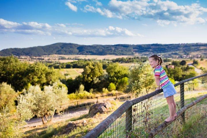 Private Chianti Tuscany Wine Tasting Tour from Florence