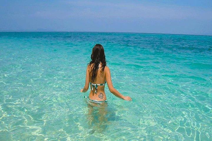 Premium Tour to Phi Phi & Bamboo Island Tours by Speed boat