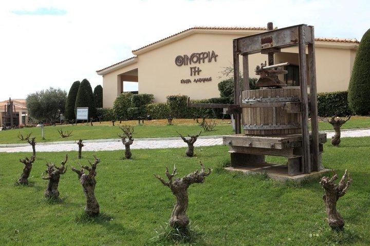 Private 4x4 Wine Tour from Athens to Marathon Lake and a Winery