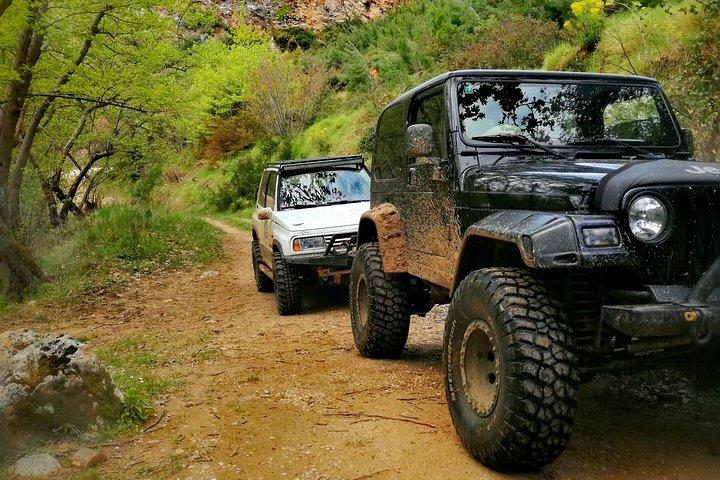 Private 4x4 Wine Tour from Athens to Marathon Lake and a Winery