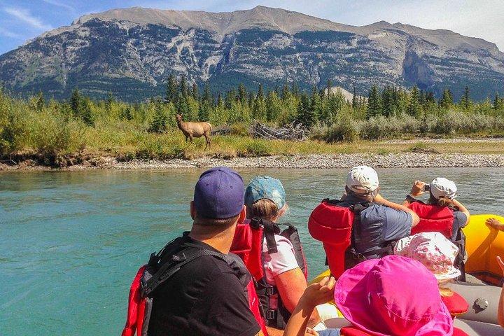Rocky Mountain - Bow River Signature Float