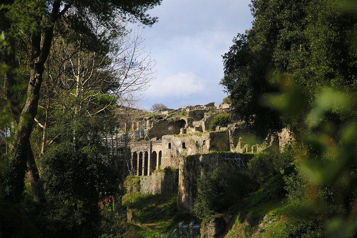 Private Day Tour from Rome to Pompeii and Herculaneum with Hotel Pick up