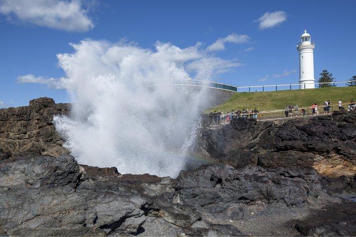 Private Tour: Sydney South Coast & Highlands