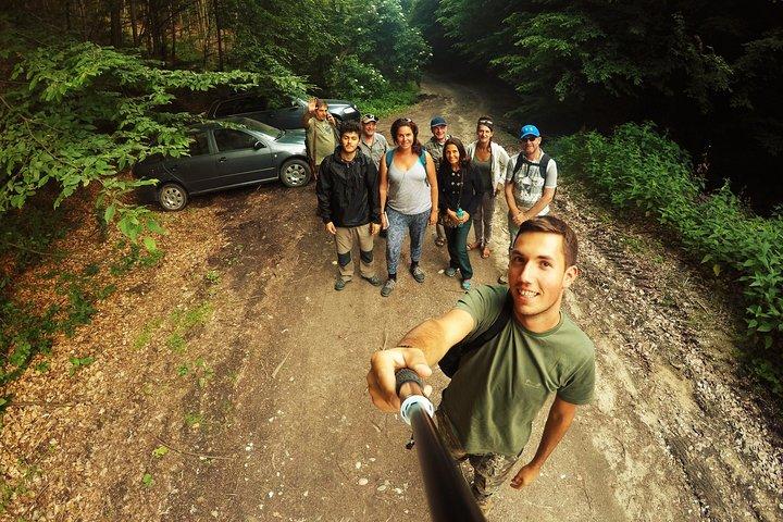 Carpathian Wilderness: A Wildlife Experience from Brașov