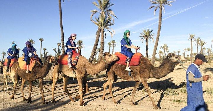 Activities in Marrakech: Camel ride tour
