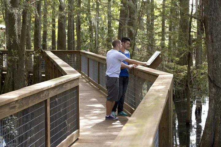 Wild Florida Adventure Package Tour with Hotel Pickup & Lunch