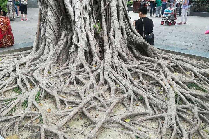 Customised Private Guangzhou City Tour with Flexible Itinerary