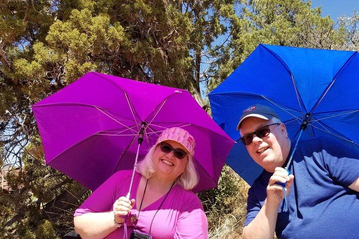 Private 3-Hour Spiritual Vortex Tour of Sedona