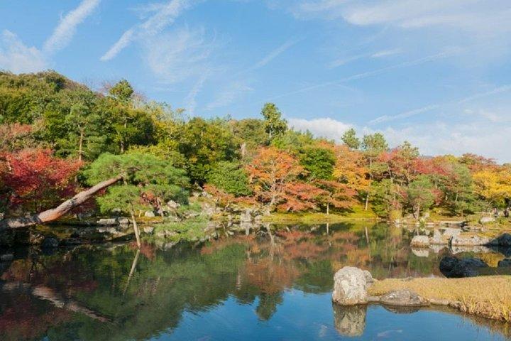 Full Day Kyoto Chartered Taxi Tour