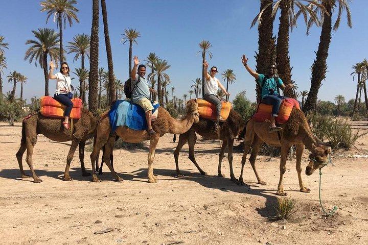 Camel and Quad in Marrakech