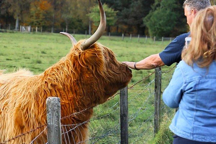 From Edinburgh: 2-Day Highlands tour with Jacobite Steam Train