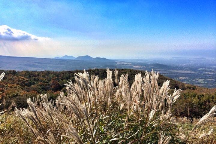 Jeju Premium Small Group UNESCO Day Tour - South Course