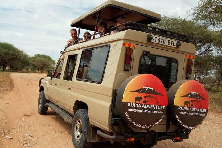 2 Days Tanzania Safaris - Tarangire & Ngorongoro Crater