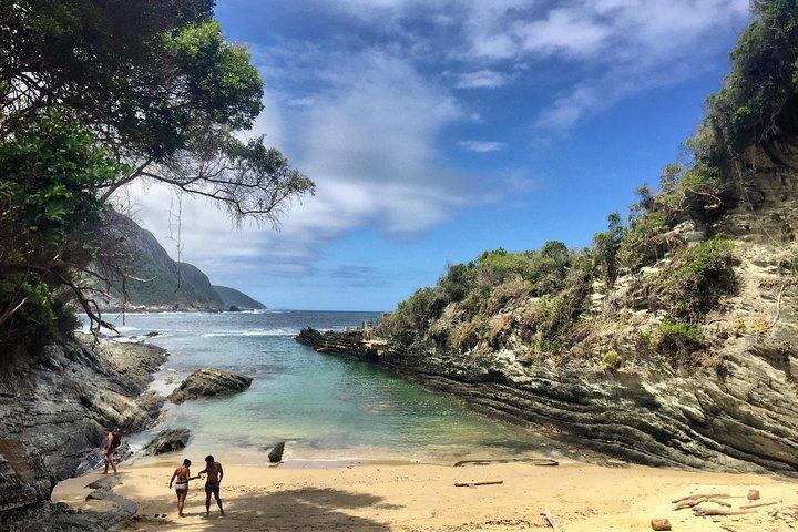 5-Day Garden Route & Addo Adventure from Cape Town to Port Elizabeth