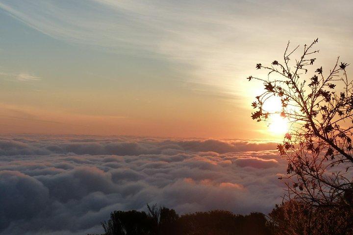 Kilimanjaro, machame route