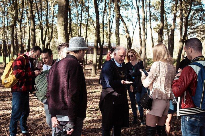 Truffle Hunting and Tasting in San Gimignano with a Tuscan Lunch