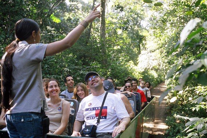 Iguassu Falls Combo Tour: Visit to the Brazilian side and Waterfall Boat Ride