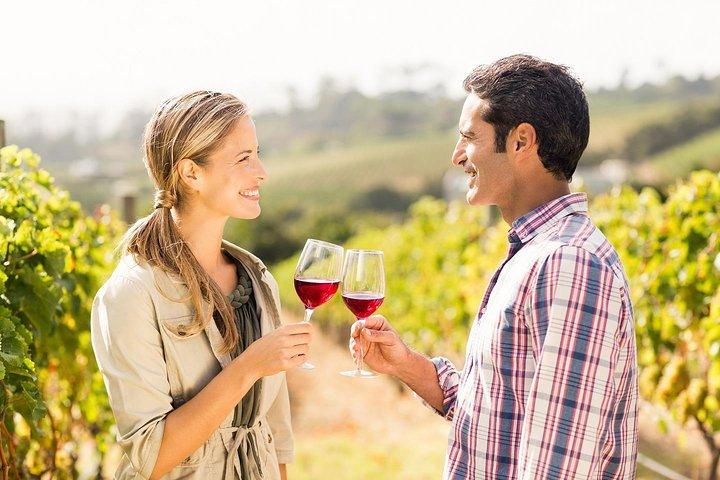 Horseback Riding and Winery Lunch Experience in San Gimignano