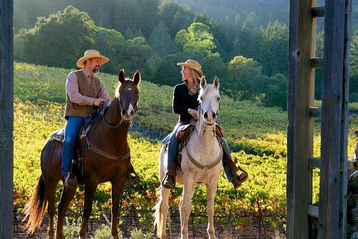Horseback Riding and Winery Lunch Experience in San Gimignano