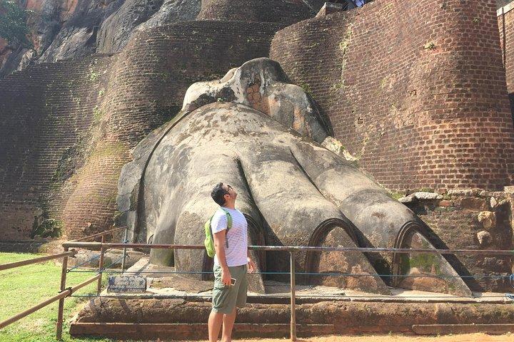 Sigiriya & Dambulla Day Tour