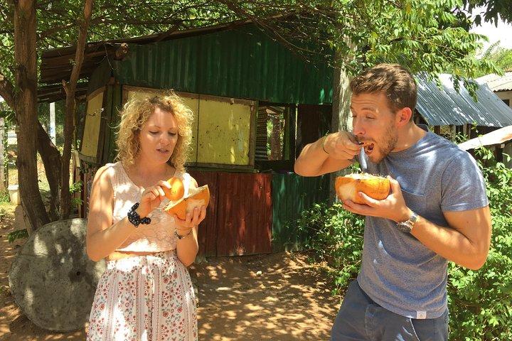 Sigiriya & Dambulla Day Tour