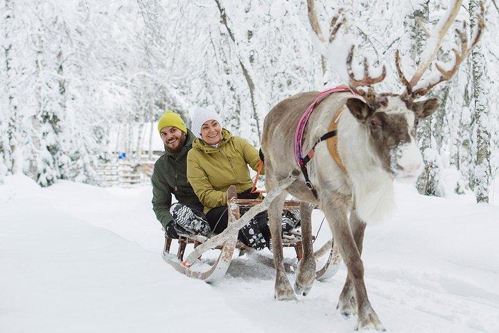 Lapland Reindeer Safari from Rovaniemi