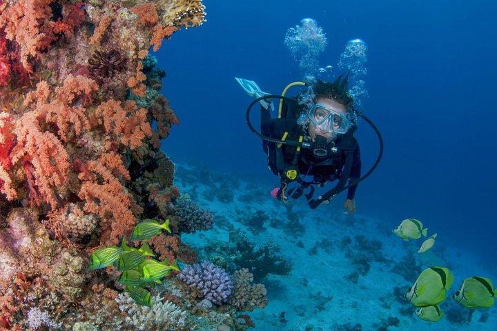 Learn to Scuba Dive in Cabo San Lucas with PADI