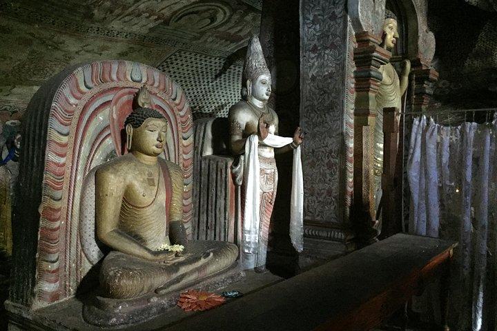 Sigiriya & Dambulla Day Tour