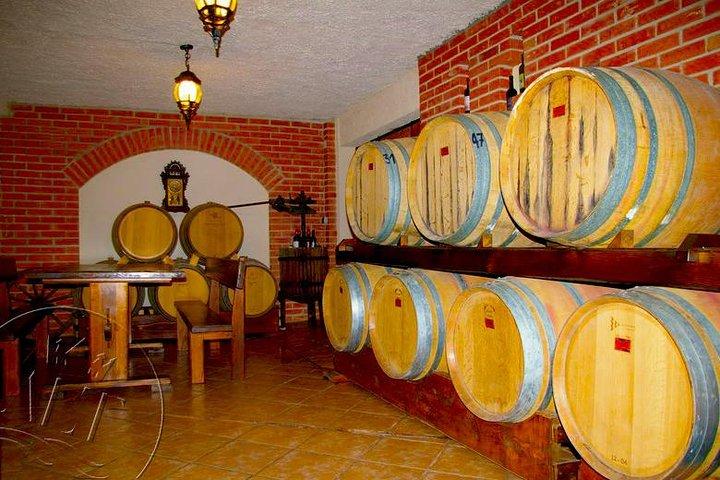 Peljesac Vineyards & Oysters - Private Day Trip from Dubrovnik-Mercedes Vehicle