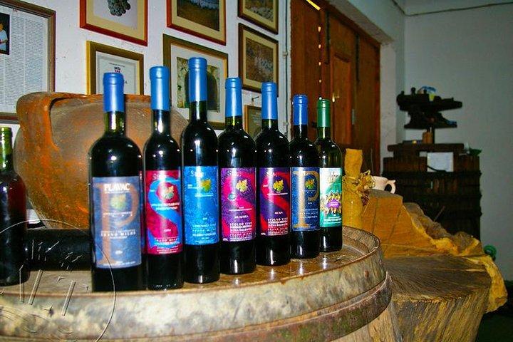 Peljesac Vineyards & Oysters - Private Day Trip from Dubrovnik-Mercedes Vehicle