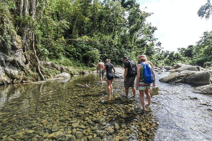From San Juan: El Yunque Rainforest Hiking Adventure
