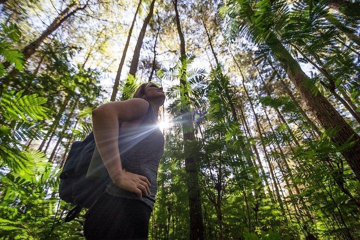 Mount Batur Sunrise Trekking - Guided Hike with Breakfast on Top