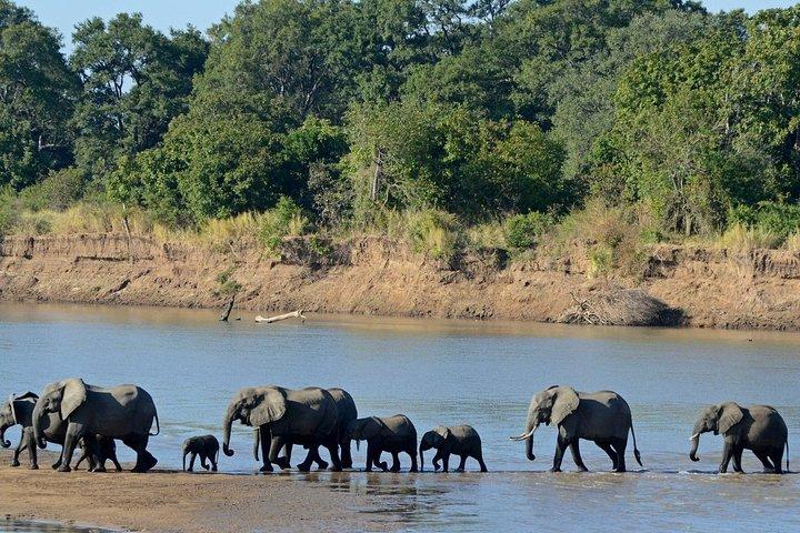Chobe Full Day Trip