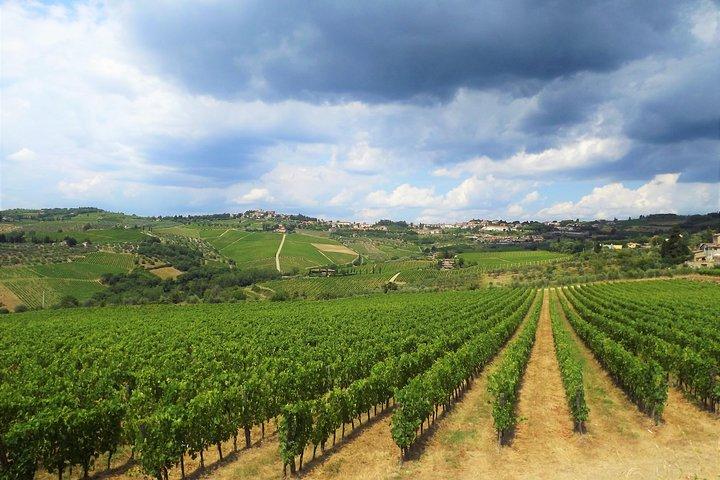 Safari in Chianti Open Top Van and Tasting Wine