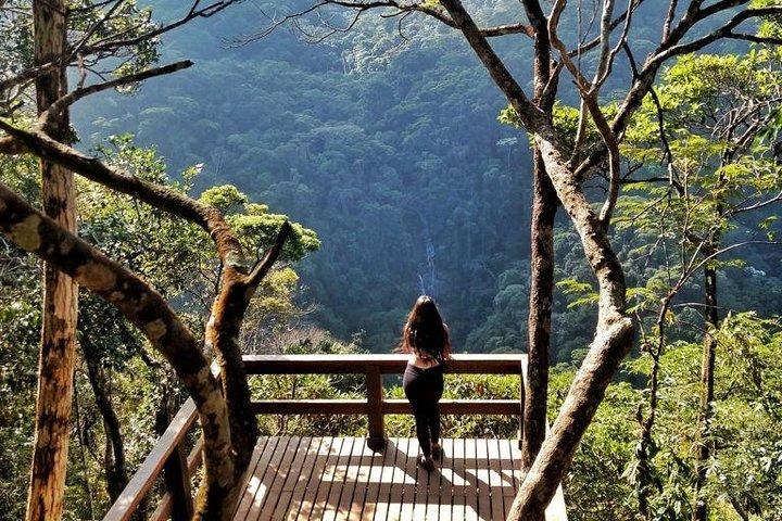 Rio in One Day Private Tour with Christ the Redeemer by Train