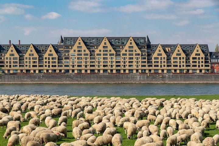 Cologne Private Full-Day Sightseeing Tour from Amsterdam