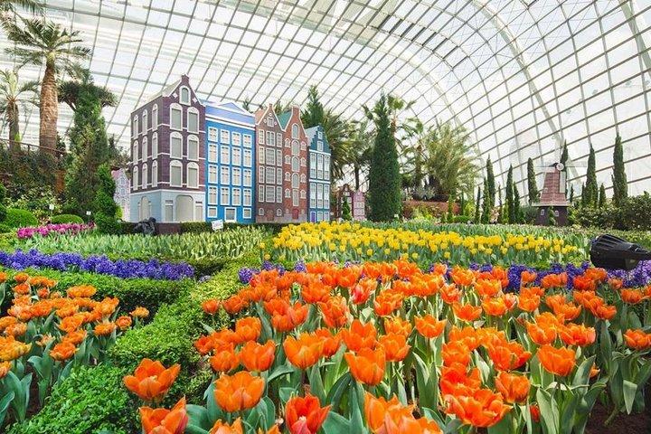 Gardens by the Bay & Marina Bay SkyPark with 2 Way Transfer
