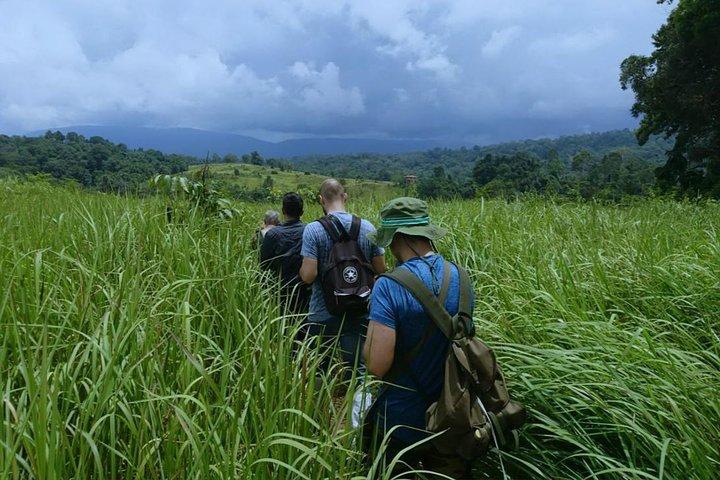 UNESCO Khao Yai National Park Adventure: Hiking & Waterfalls