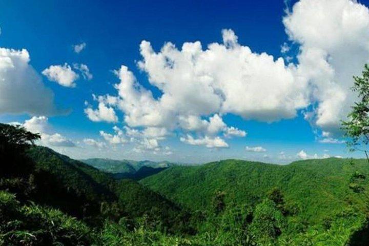 UNESCO Khao Yai National Park Adventure: Hiking & Waterfalls