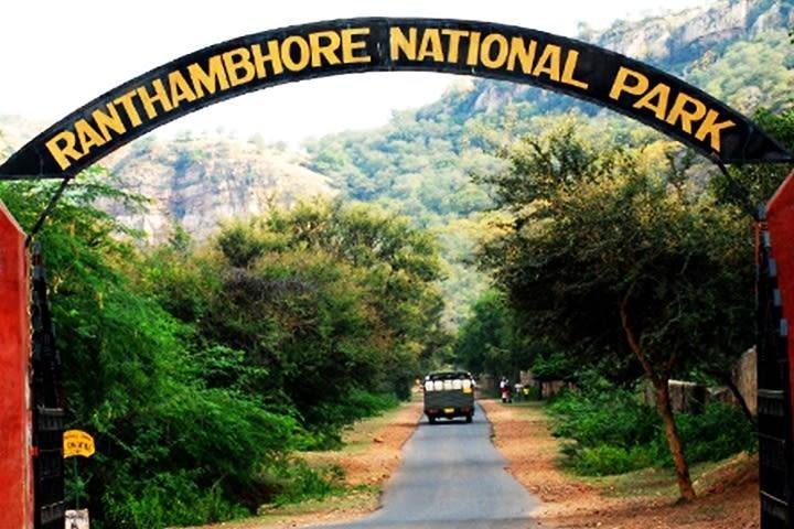 2-Days Private Ranthambhore Tiger Tour from Jaipur