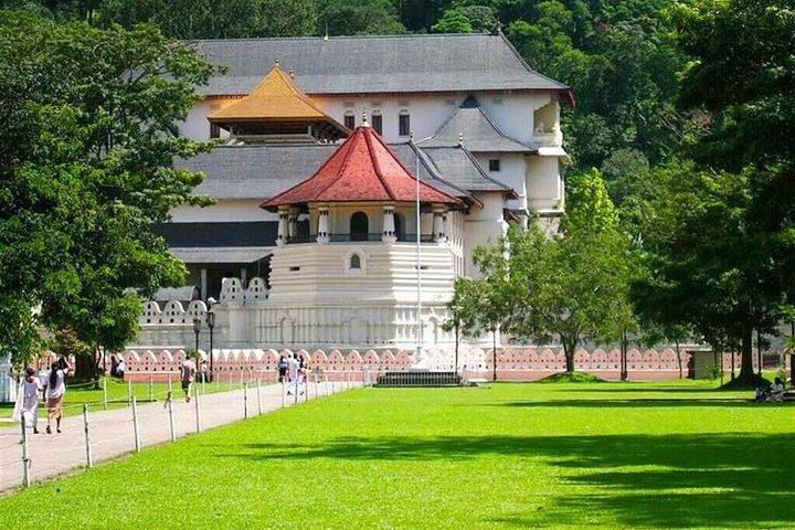 Kandy Day Tour