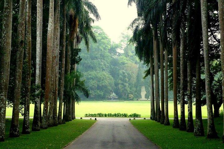 Kandy Day Tour