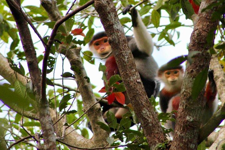 Marble Mountain, Monkey Mountain, Lady Buddha Statue PRIVATE TOUR